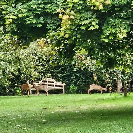 D'hôtes La Meauffre à La Porte De Granville Couette-café Longueville (Manche)