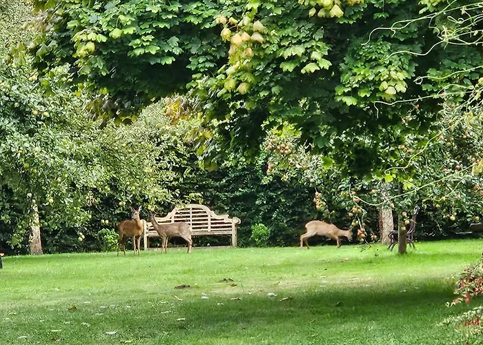 D'hôtes La Meauffre à La Porte De Granville Couette-café Longueville (Manche)