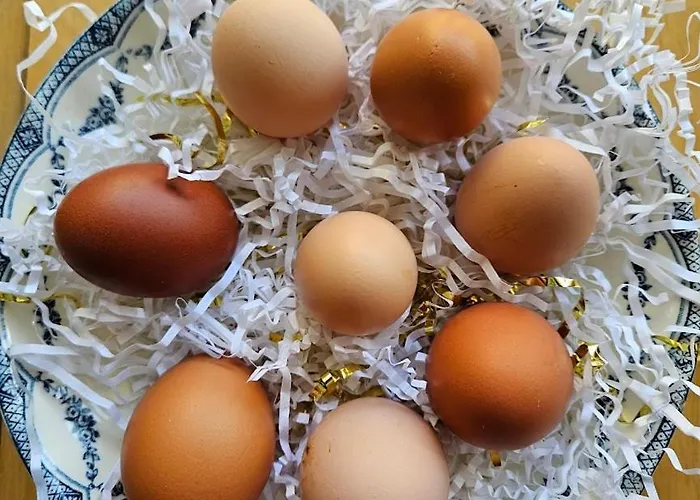 D'hôtes La Meauffre à La Porte De Granville Couette-café